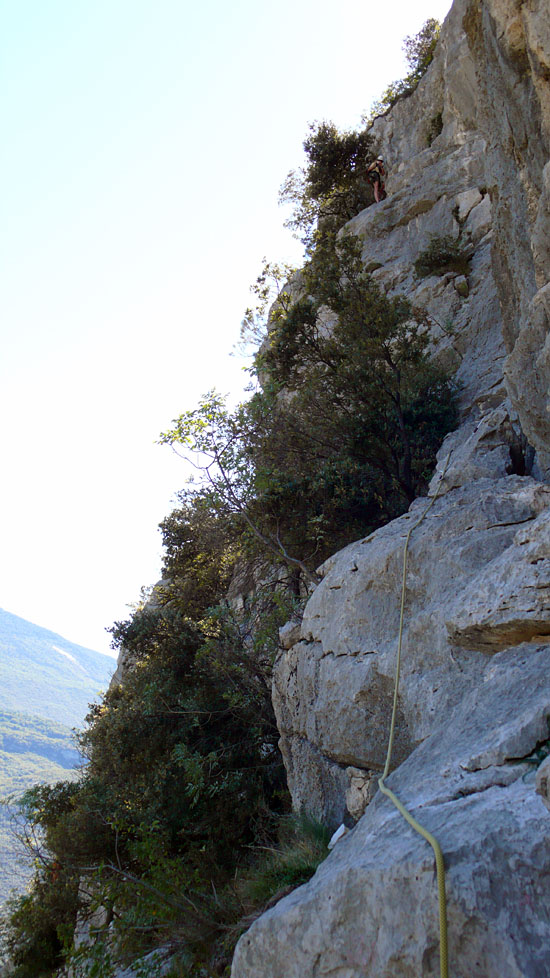 arco035.jpg - Ein interessanter und im oberen Teil nicht ganz leichter Quergang in der SL8 endet an einem Baum, der als Bio-Sicherungspunkt verwendet wird.