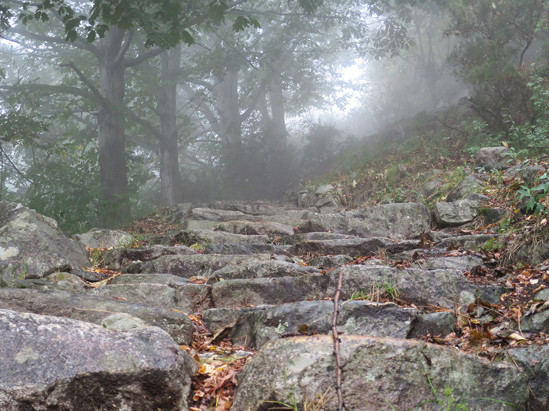 tracc002.jpg - Nachdem ich am Parkplatz in Novante Mezzola erst mal einen Regenschauer im Auto abgewartet hatte, machte ich mich auch den Weg in das Valle Codera, wo Siedlungen sind, die heute noch bewohnt werden und außer diesen Wegen und einer Materialseilbahn keine Verbindung haben zum Tal.                               