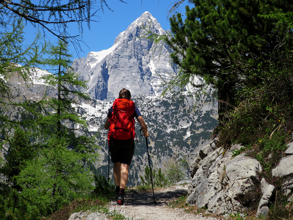 kärlinger018.jpg - Der kleine Watz.