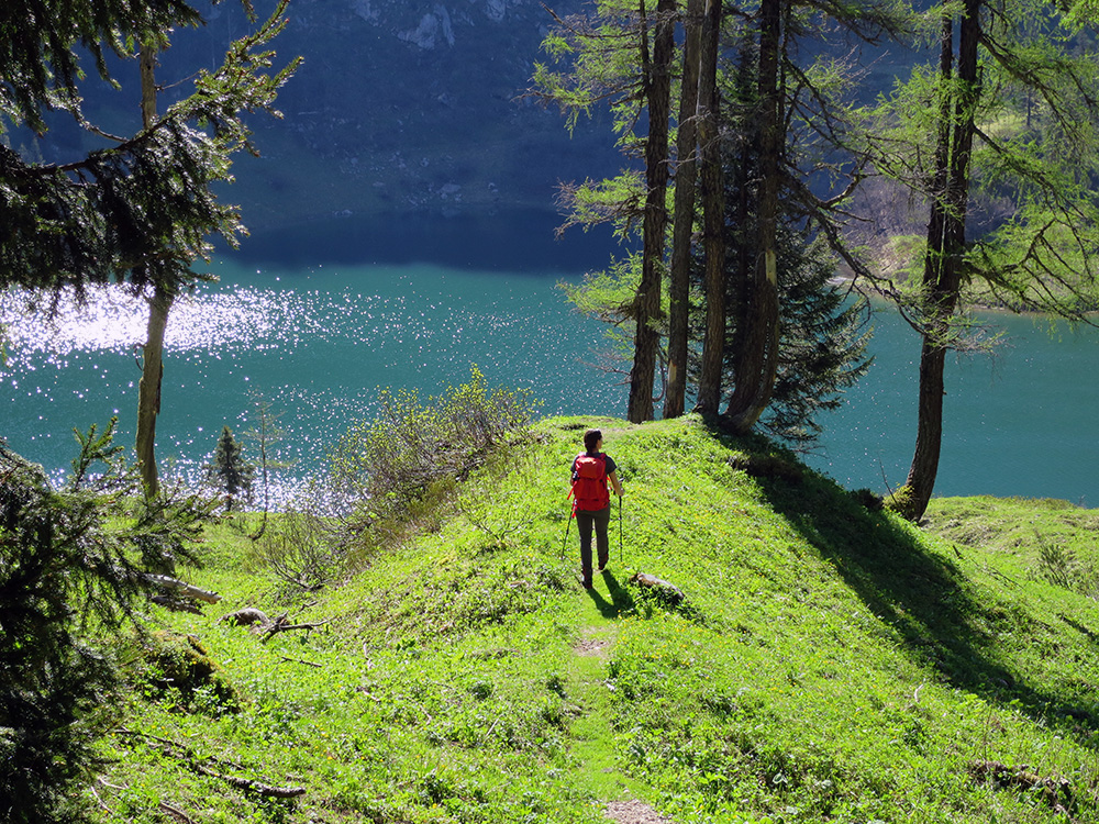 kärlinger040.jpg - Am nächsten Tag beim Grünsee. Wie sollte man ihn sonst nennen?