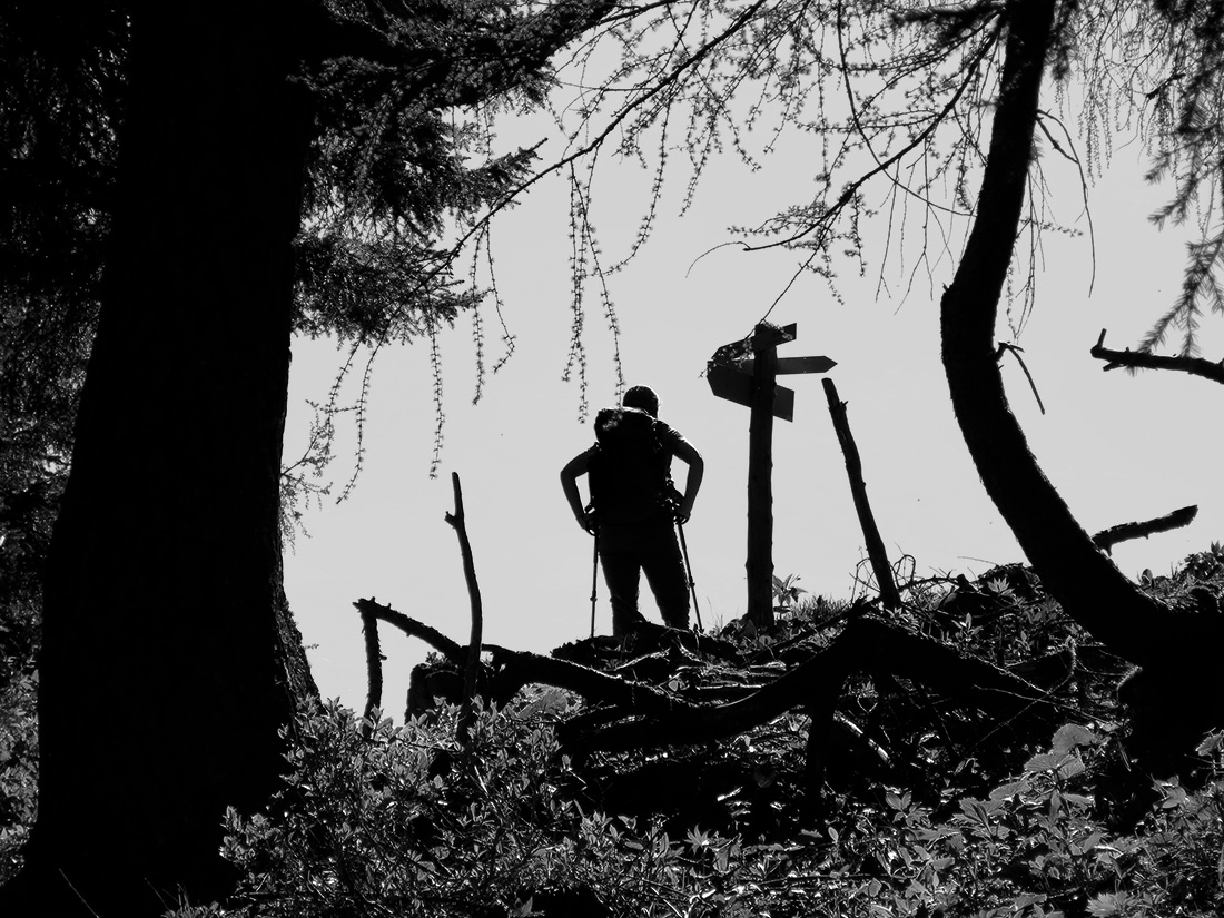 kärlinger046.jpg - Beim Abzweiger zum Halsköpfl, einem sehr lohnenden Abstecher.