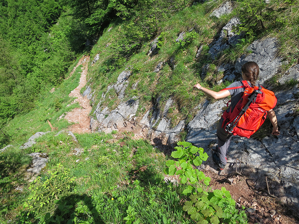 kärlinger060.jpg - Bald nimmt uns der frische grüne Wald auf und die Temperaturen sind schon sommerlich heiß.