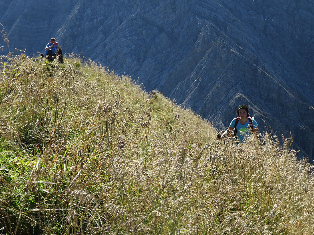 bleispitz60.jpg - Am Gipfel auch unvermutet recht hohes Gras, weil dort keine Schafe hinkamen.