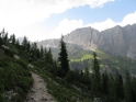 pisciadu_210