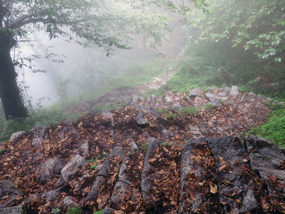 tracc016.jpg -                                