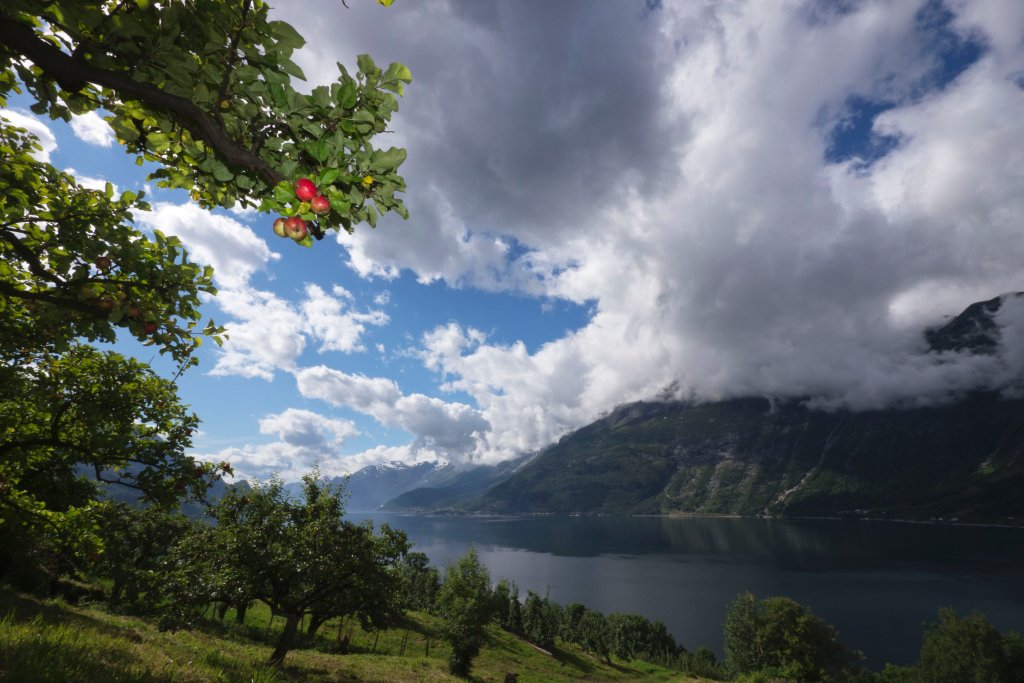 norw_0800.jpg - In Kinsarvik.