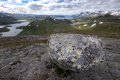 norw_0115