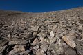 norw_0232