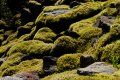 norw_0840