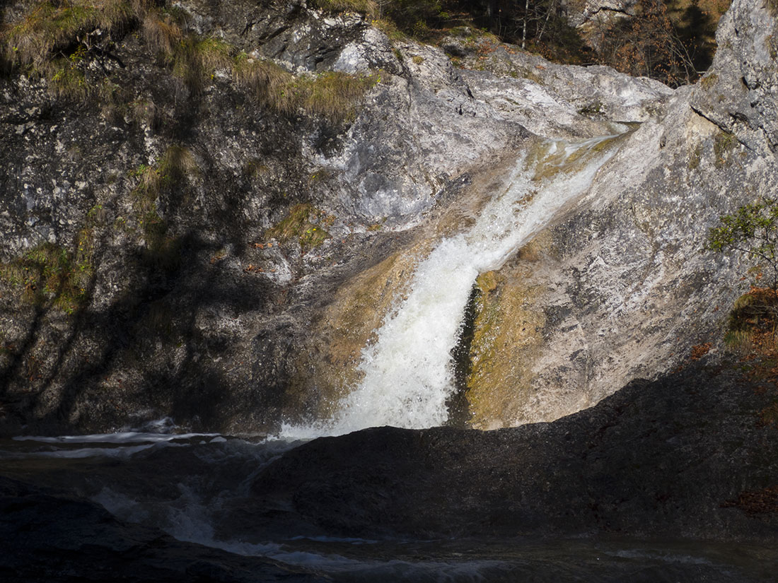staffel020.jpg - Durch den Wald geholzt auf kaum erkennbaren Pfaden kommen wir am Fuß des Staffelgraben an.