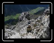 ilm_040 * 1024 x 768 * (395KB)