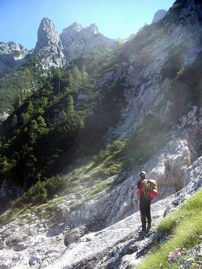 viererspitze003.jpg - Nach dem Abzweiger am nicht zu übersehenden Martel auf dem Weg zur Mittenwalder Hütte hält man sich immer so weit oben wie möglich. Teilweise laufen die Trittspuren auseinander. Man quert das Geröll und zielt auf die Kreuzklamm, an deren unteren Auslauf eine Lärche steht. Dort ist der Einstieg in die Klamm. Rote Punkte finden sich auch hier und da.